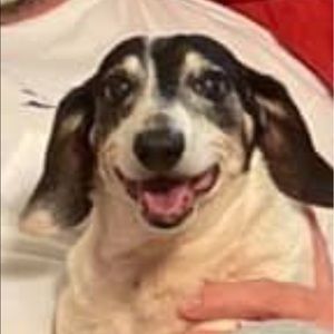 Meet your Posher, Cassidy